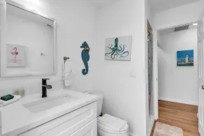 Minnow 1 - Image 5