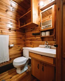 Cozy Afton Cabin – Year-Round Upstate NY Getaway - Image 4