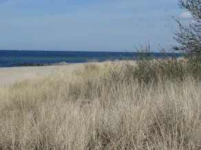 Komfortable Ferienwohnung mit Schwimmbad und Sauna 100 m vom Strand, WLAN - Image 4