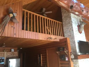 Unique Rustic, upscale, 3 br/2 ba Cabin w/Fireplace, Firepit, Pool Table & Wifi - Image 2