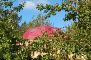 Apple Dome presso Cabot Shores Wilderness Resort - Image 4