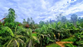 Edgewood Country Place - Image 4