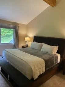 Jay Peak 3 Bedroom Trailside Condo directly on the mountain.  Walk to water park - Image 5