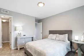 Sunskipper Iota, pet friendly! - Image 5
