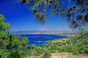 You will Love This Luxury 3 Bedroom Holiday Villa in Protaras with Private Pool, Protaras Villa 1319 - Image 5