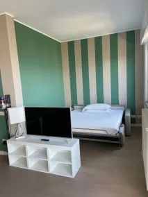 Apt in Stresa, superb view of Lake Maggiore, balcony, WiFi, A/C, garage & garden - Image 5