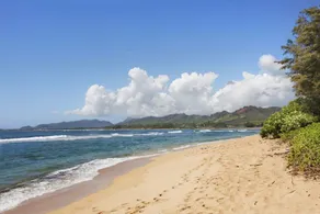 Islander on the Beach 259 "Drift Away" A Oceanview Studio - Image 2