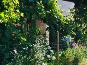 Agriturismo \"Le Cannelle\" spa & day wellness - Image 2