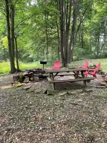 Forest Cabin #3 at Camp Because I Said I Would - Image 5