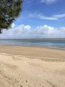 LES TRÉMIÈRES N°1 - A 5MN DES PLAGES A VELO - Image 3