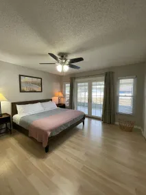 Tampa Bay Area - Image 4