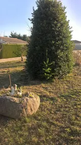 casas de familia - Image 3