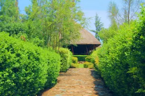 Nguge Hills Lodge & Wellness Retreat - Image 4