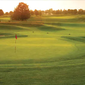 Forest Golf Club and Inn - Image 3