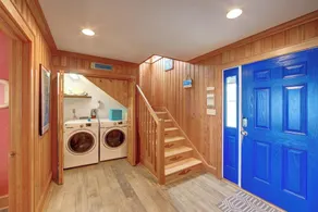 Blue Oyster - Image 2