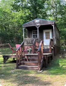 Fenced for your fur babies! 2 cabins on property for 1 price! - Image 2