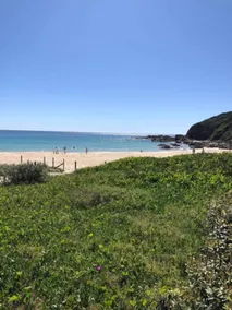 Forster holiday home, linen included-WiFi- pets welcome-cafes,beach, golf, fish - Image 5
