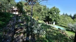 Il Paretaio, Montevarchi, Arezzo and Cortona - Image 5