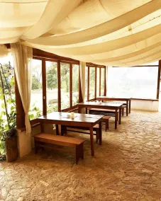 Casa Kitsch, un paraíso en la Sierra de Puebla - Image 3
