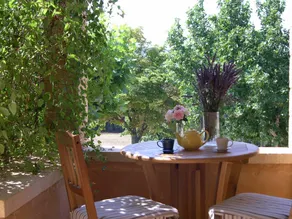 Beautiful manor with swimming pool and orchard facing  the Provençal Colorado - Image 5
