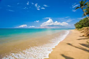 MANGO SURF OCEAN FRONT VILLA! - Image 3