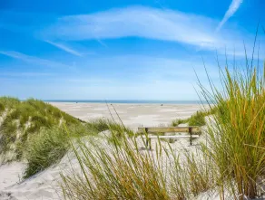 Haus Leitfeuer Ferienwohnung Blick 19 mit Meerblick und Strandnähe - Image 4
