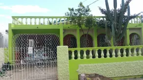 A beautiful house filled with greenery - Image 3