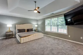 Luxurious Mini Mansion - Image 3