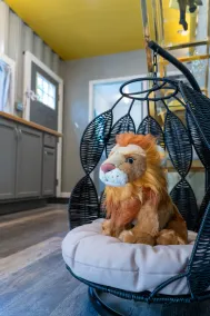 Luxury Shipping Container that is Dog Friendly. - Image 2