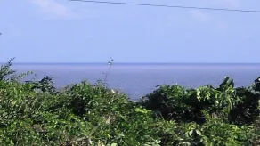 Country Cove at Silver Sands, Duncans Bay - Image 3