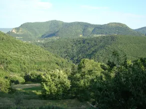 Grande suite pour 2 à 4 personnes. - Image 5