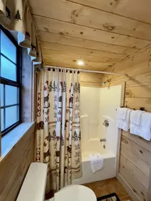 Crazy Bear - Motorcycle Friendly Home with Hot Tub and Grill - Image 3
