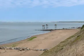 Maison Dune et Forêt à 100m de la mer - Image 4