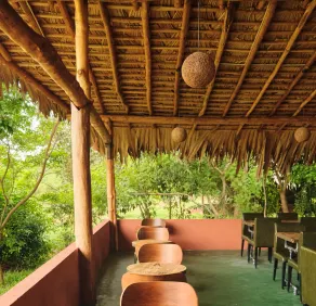Forest Lodge Eco Camp  - Image 5