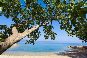 Nouvelle villa avec piscine, jardin avec oliviers, barbecue et belle vue sur la mer - Image 2