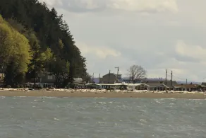 \"The Beach House\". Waterfront home/Puget Sound. Seattle commutable. - Image 3