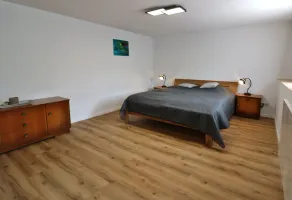 Ferienhaus Alte Wagnerei Steinatal - Ühlingen-Birkendorf - Image 4