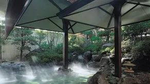Hotel Fuji - Image 3
