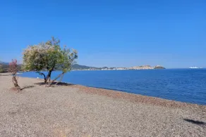 Villa Giolù: Apartamento azul a 200m do mar, desconto de ferry com BluNavy - Image 2