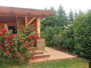 Schaff, Theresia - Holiday home Flora - Holiday home Flora - Image 5