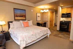 Ski-In/Ski-Out Studio Room - Image 4