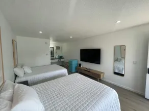 Double Queen Room Sum - Image 4