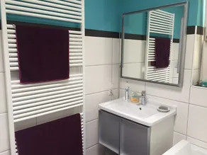 Apartamento de luxo com vista para as vinhas e a planície do Reno - Image 5