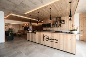 ‘Lodge Melisse’ holiday flat with mountain views, private terrace and private sauna - Image 3