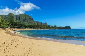 Komfortables Haus im hawaiianischen Stil - Image 4