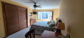 Romantic condo with beautiful sunset views of Smith Mountain Lake - Image 4