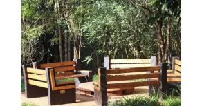 The Treetops Lodge - Image 3