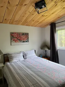 Enjoy the beautiful Getaway chalet and all the outdoor activities at Irish Lake! - Image 5