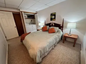 Cozy lake front unit close to Honesdale, Elk Mountain, Scranton & much more! - Image 3
