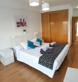 Large luxury apartment with swimming pool, garage, air conditioning and free WiFi - Image 4